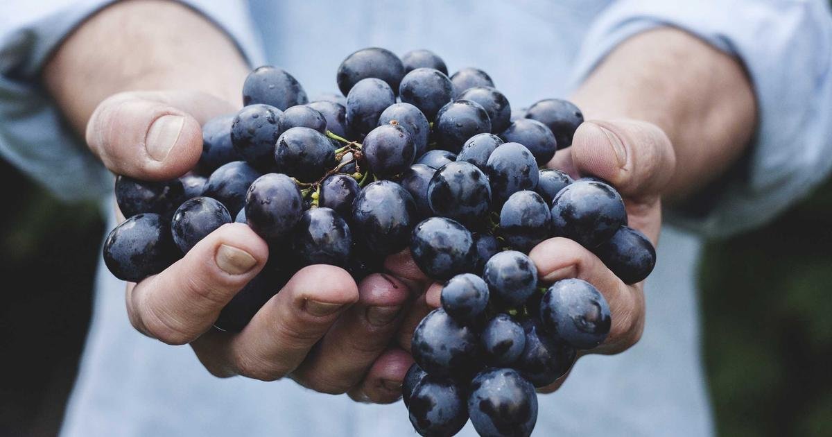 Exclusive Wine Tasting & Pairing Dinner
